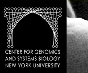 Center for Genomics and Systems Biology logo