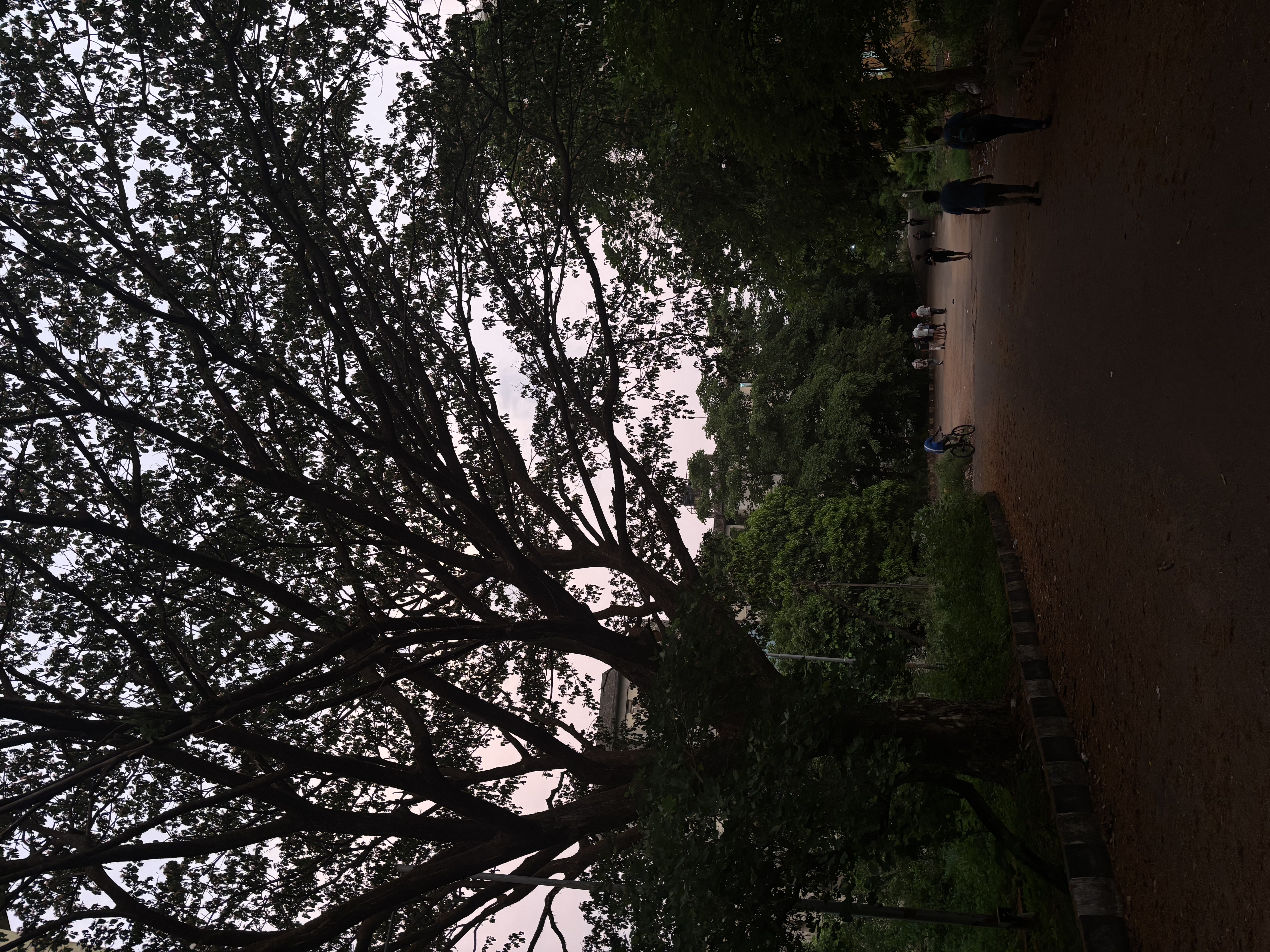 evening in NITK