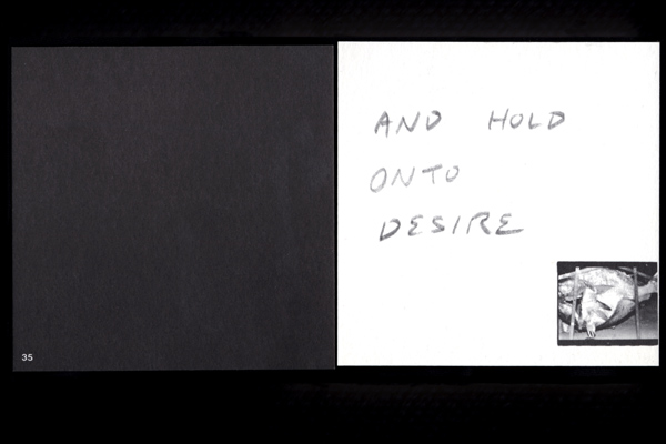 Desire Book