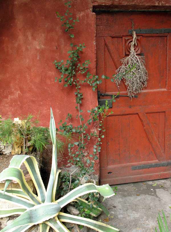 Garden Red Wall with Door