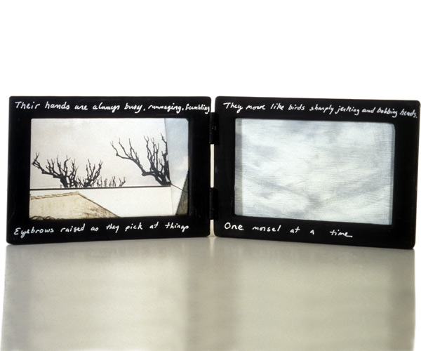 Like Birds, 96